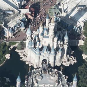 Disney World's Cinderella Castle (Birds Eye)