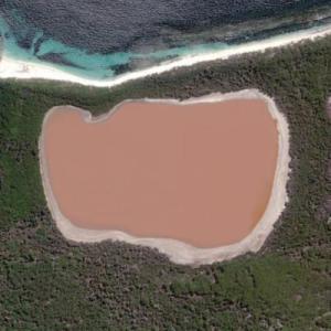 Lake Hillier (Bing Maps)