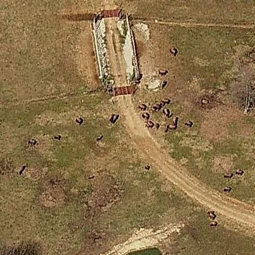 Tupelo Buffalo Park in Tupelo, MS (Google Maps)