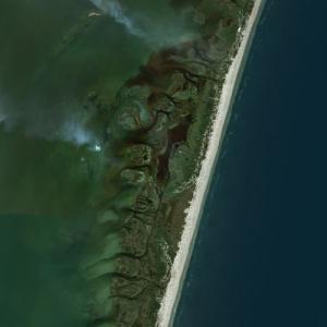 Assateague Island National Seashore in Assateague Island, MD - Virtual
