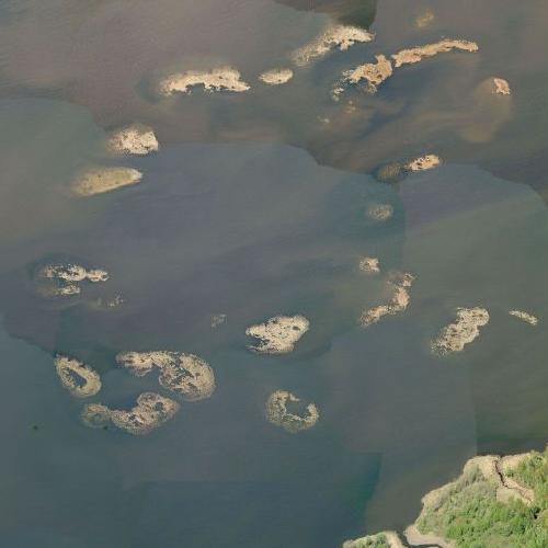 Dexter Marsh in Dexter, NY (Google Maps)