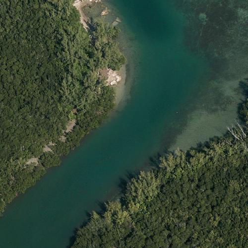 Dexter floats in the channel ("Dexter") in Miami, FL (Google Maps)