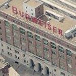 Busch Brewery