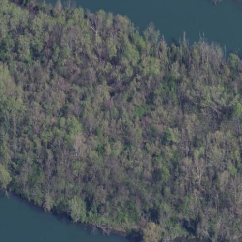 Aulton Island (aka Cummings Island) in Clinton, TN (Google Maps)