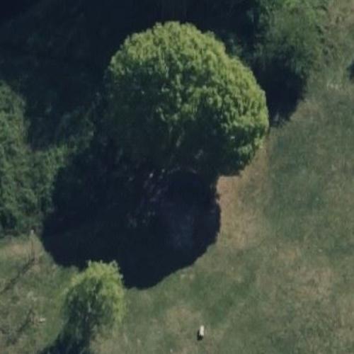 British European Airways Flight 548 memorial in StainesuponThames