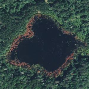 Bowstead Lake (Bing Maps)