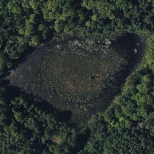 Dollar Lake in Curran, MI (Google Maps) (#3)