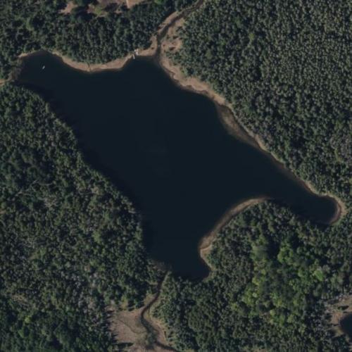 Black Lake in Curran, MI (Google Maps) (#6)