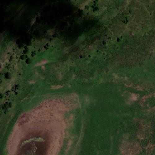Chingolo in Diamante, Argentina - Virtual Globetrotting