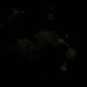 Dot Island (South Georgia) (Bing Maps)