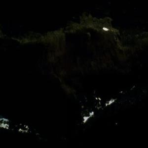 Tern Island (South Georgia) (Bing Maps)