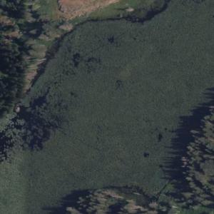 Steele Lake (Bing Maps)