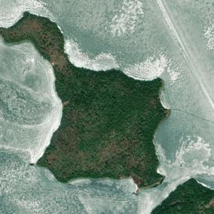 Pine Island (Bing Maps)