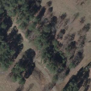 Moreland Cemetery (Bing Maps)