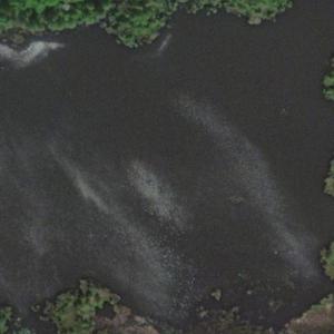 Czarne Lake (Bing Maps)