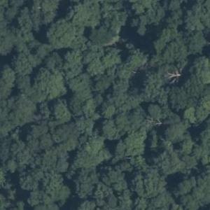 Cook Cemetery (Bing Maps)