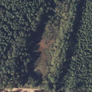 Pugh Lake (Bing Maps)