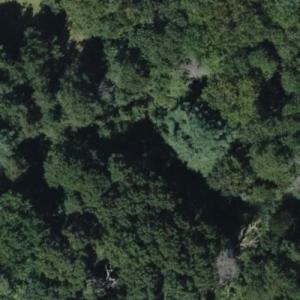Congdon Cemetery (Bing Maps)