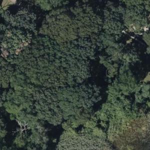 Thomas Lot (Bing Maps)