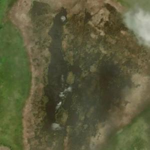 Plum Grove Lake (Bing Maps)