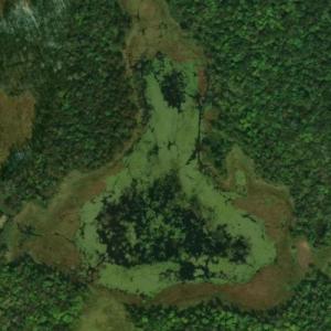 Mulgri Lake (Bing Maps)