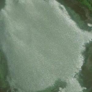 Pickle Lake (Bing Maps)