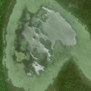 Chokecherry Lake (Bing Maps)