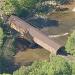 Olin's Covered Bridge